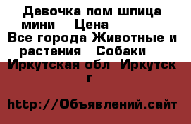 Девочка пом шпица мини  › Цена ­ 30 000 - Все города Животные и растения » Собаки   . Иркутская обл.,Иркутск г.